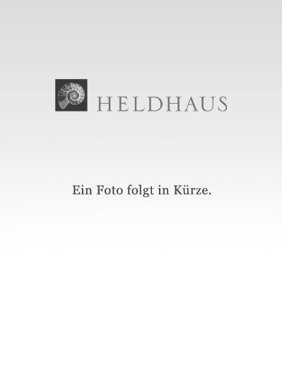 Ein Foto folgt in Kürze